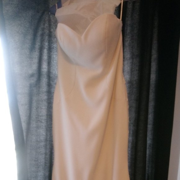 Pronovia Barcelona Wedding Dress. Size 12. White - Ivory - Picture 11 of 15